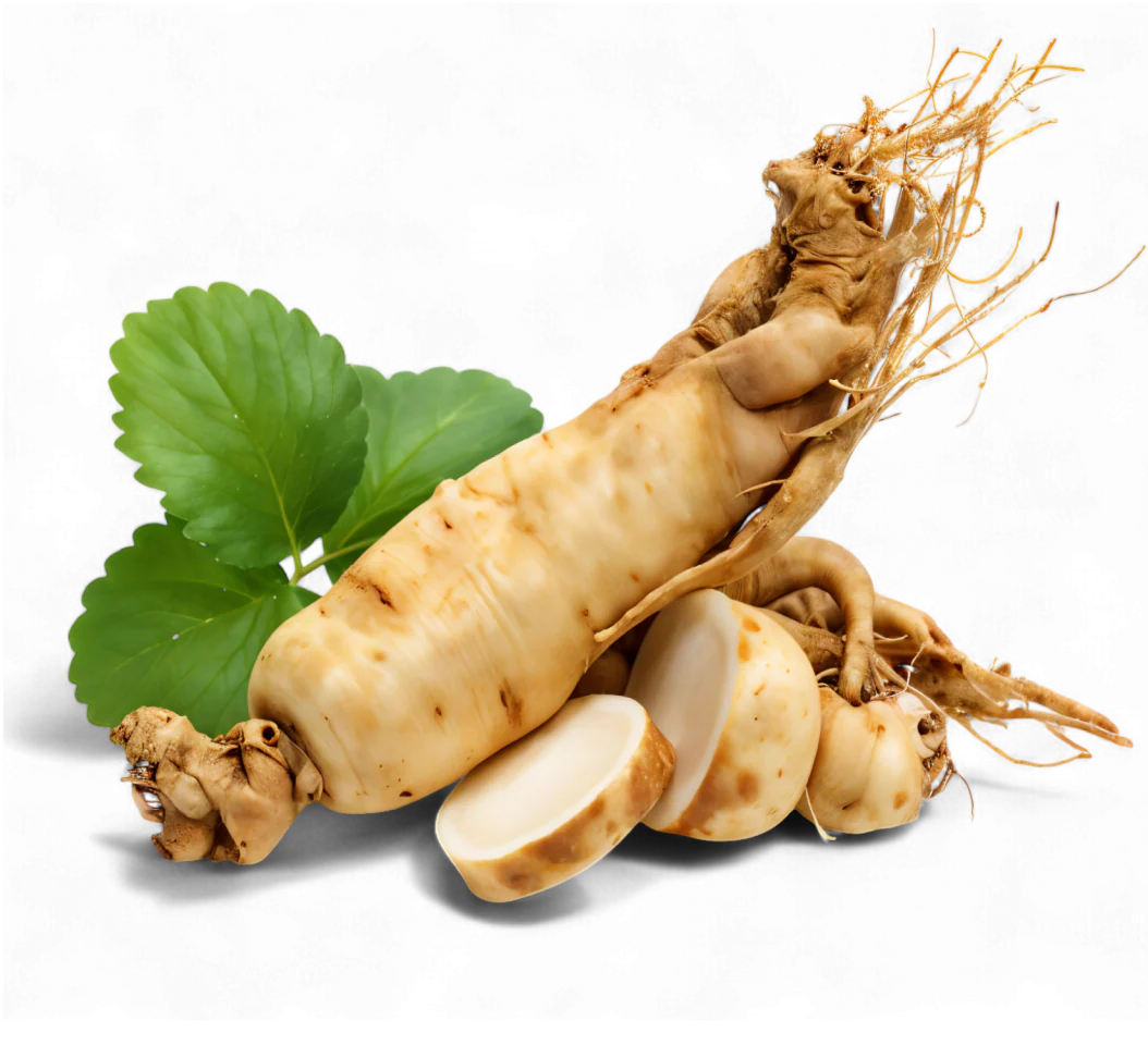 GINSENG EXTRACT